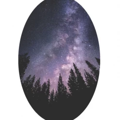 Second Gear WNC Sticker Art Feeling Small More