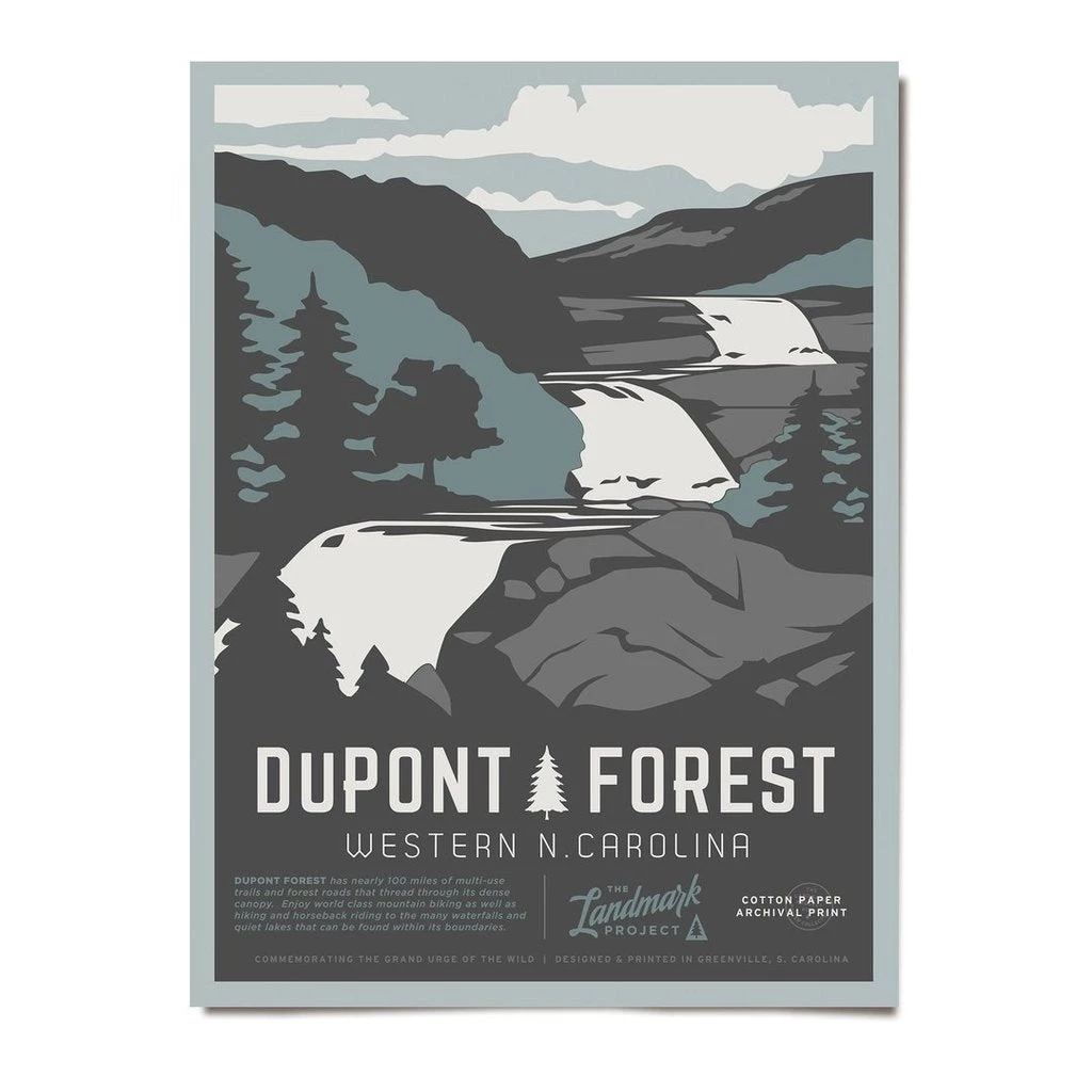 Second Gear WNC The Landmark Project Dupont Forest Poster (18"x24") More