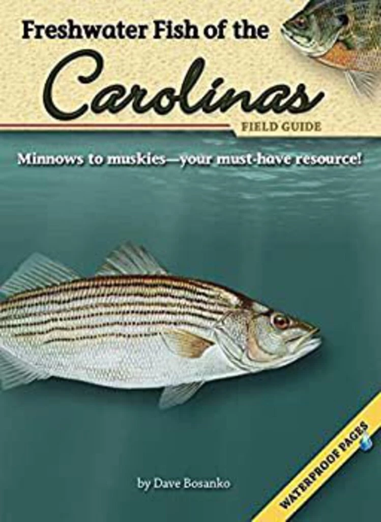 Second Gear WNC Freshwater Fish Of The Carolinas Field Guide