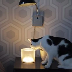 Second Gear WNC Camp MPOWERD Luci Lux Frosted Inflatable Solar Light