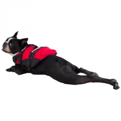 Second Gear WNC NRS CFD Dog Life Jacket, Red, XS