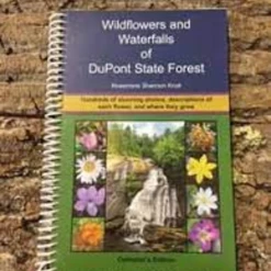 Second Gear WNC Wildflowers And Waterfalls Of DuPont State Forest