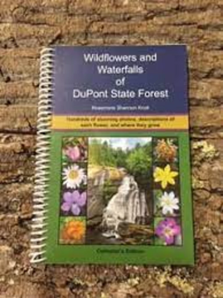 Second Gear WNC Wildflowers And Waterfalls Of DuPont State Forest