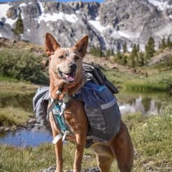 Second Gear WNC Mountainsmith K-9 Pack, Large, Red Hike