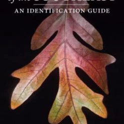 Second Gear WNC "Native Trees Of The Southeast: An Identification Guide" By L. Katherine Kirkman, Claud L. Brown, And Donald J. Leopold Books & Maps