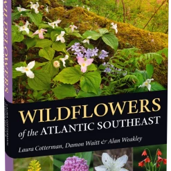 Second Gear WNC "Wildflowers Of The Atlantic Southeast" By Laura Cotterman, Damon Waitt, And Alan Weakley Books & Maps