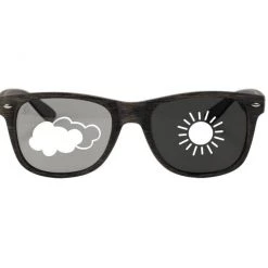 Second Gear WNC Gnarcissist Photochromatic O.G. Sunglasses