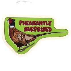 Second Gear WNC Pheasantly Surprised Sticker