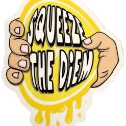 Second Gear WNC Squeeze The Diem Sticker More