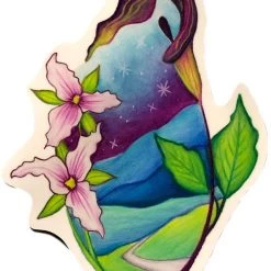 Second Gear WNC Wandering Arts Trillium/Jack In The Pulpit More