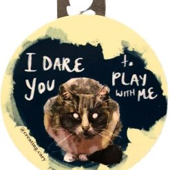 Second Gear WNC Gingerly Designs Cat I Dare You More