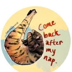 Second Gear WNC More Gingerly Designs Cat After Nap