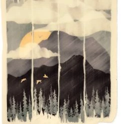 Second Gear WNC Mennottees Spring Mountain Weather More