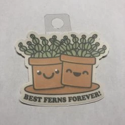 Second Gear WNC More Menottees Best Ferns Forever